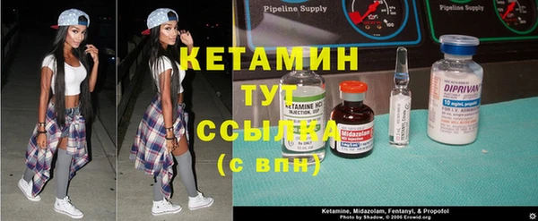 хмурый Няндома